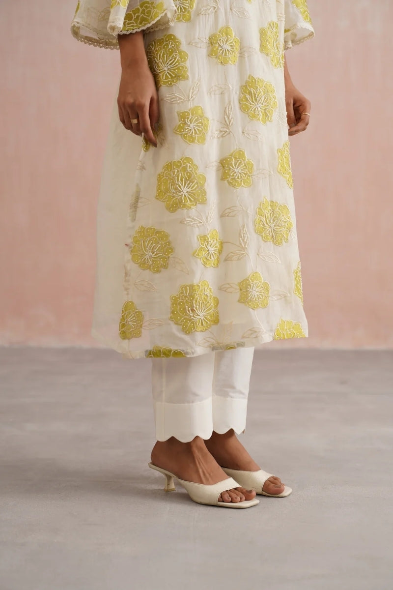 Zinnia Set