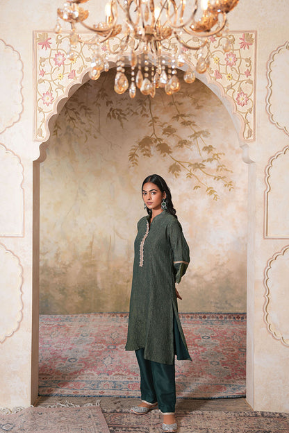 Bagh Tissue Silk Set