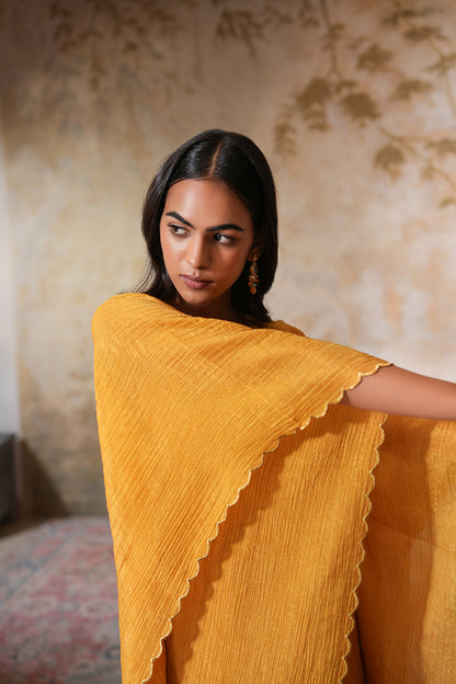 Sunehra Tissue Silk Kaftan Set