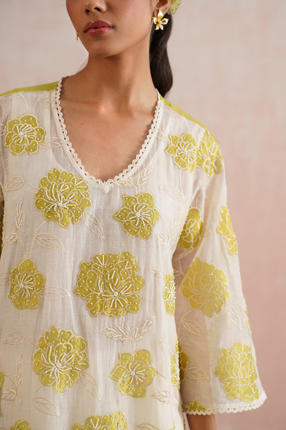 Zinnia Set