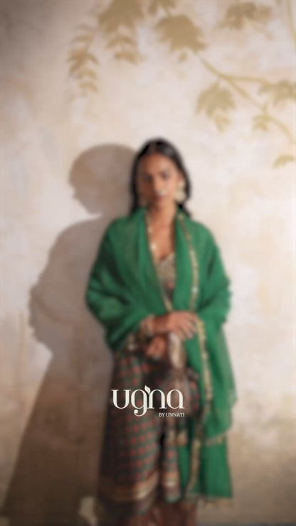 Gulnaz Sitara Kurta Set